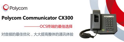 Polycom CX300 绰